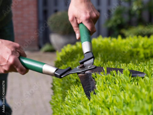 Gartenarbeit - Gartenpflege - Hecke schneiden
