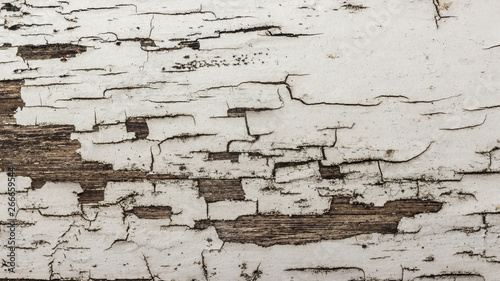 close up of white flaking paint on faded timber