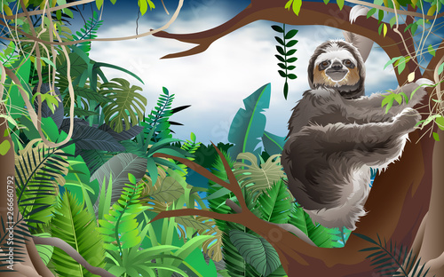 sloth on the tree in the jungle