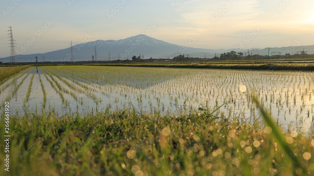 Φωτογραφία 夜明けの庄内平野と鳥海山　Shonai-heiya and Mt.Chokai