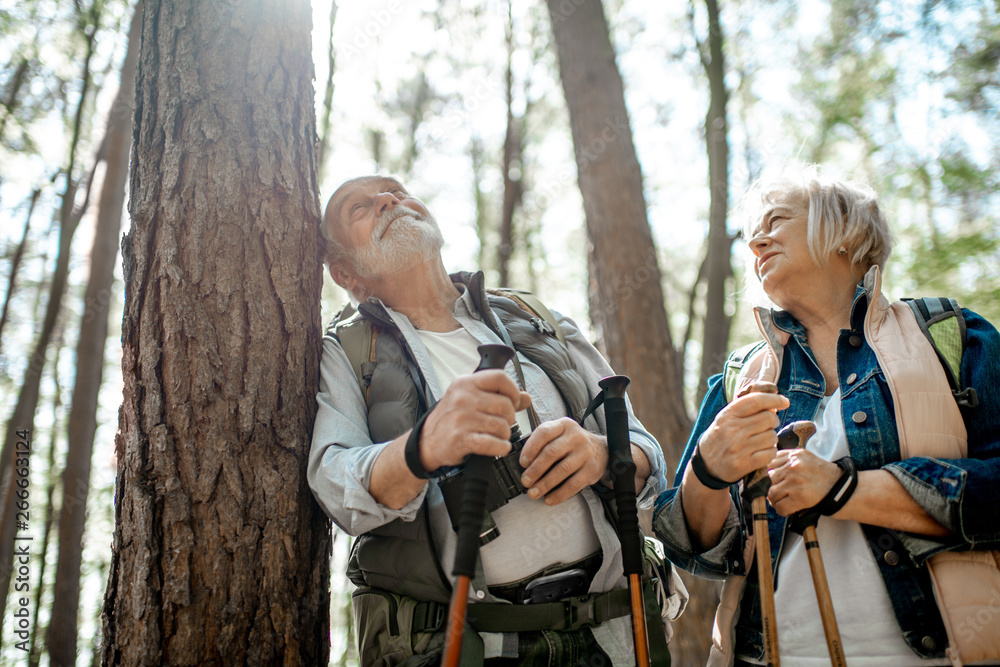 Fototapeta premium Senior couple resting near the tree while traveling with backpacks and trekking sticks in the forest. Concept of an active lifestyle on retirement
