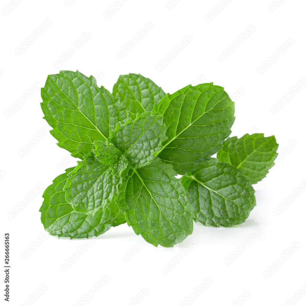 Mint leaves isolated over a white background.