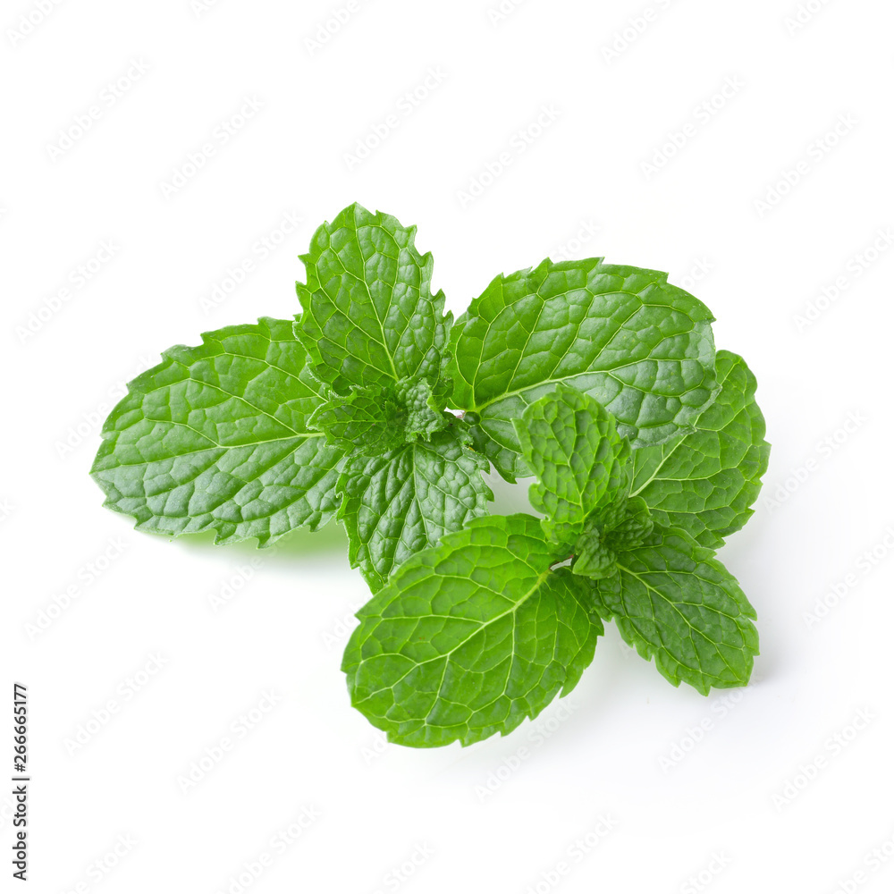 Mint leaves isolated over a white background. Mint leaves isolated over a white background.