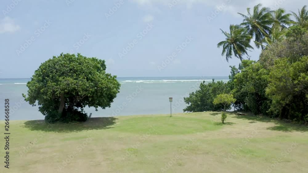 Aerial shot launching off a grass field over the ocean with palm trees blowing in the wind traveling out over the ocean in Hawaii.