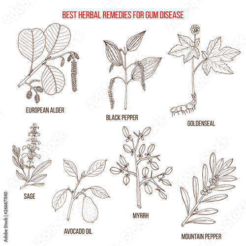 Best herbal remedies for gum disease