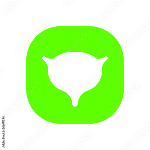 bladder icon. Vector illustration. Organ icon vector