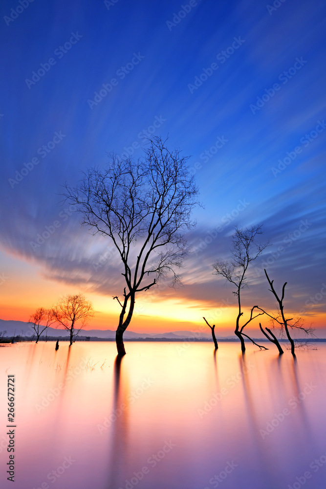 Fototapeta premium Cloud movement with dead trees on the dam at beautiful sunrise