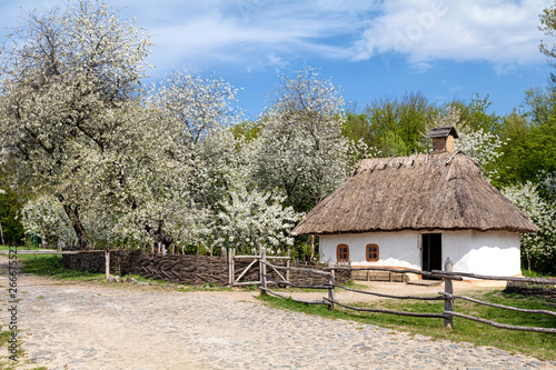 Old peasant house in the Museum of folk architecture and life in Pirogovo, Kiev, Ukraine 