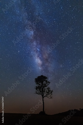 Milky way galaxy with stars and space dust in the universe.