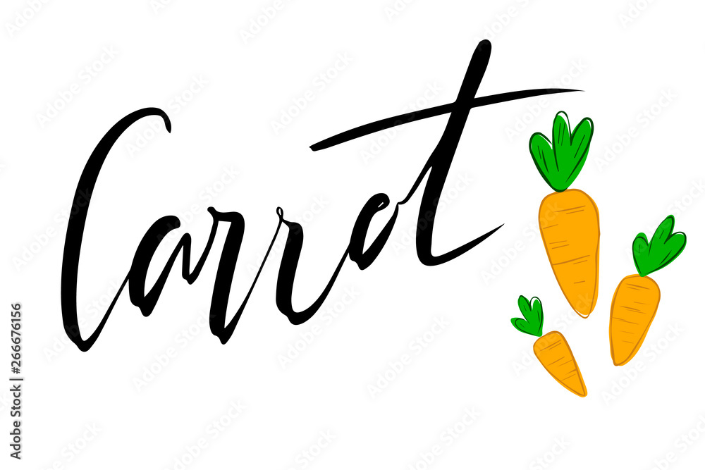 Obraz premium Lettering carrot with vector illustration of carrot. Logo, stamp. Healthy, fresh, organic, eco food. Vegetables, harvest. Vector hand drawn illustration. 
