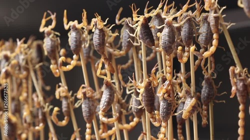 Small scorpions death agony on sticks, as serving them as street food while still alive in asia photo