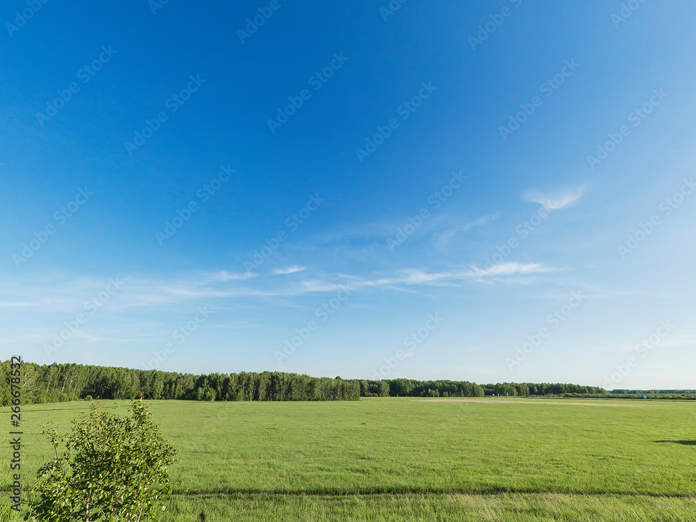 Green meadow and blue sky over grass field, rural landscape