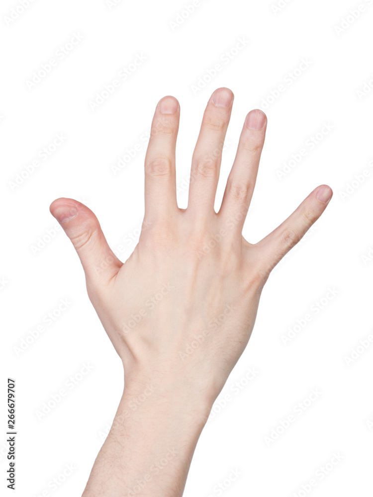 Male hand finger number Male hand finger number