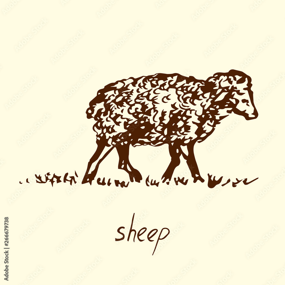 Sheep standing side view, hand drawn doodle, sketch in pop art style, vector illustration Sheep standing side view, hand drawn doodle, sketch in pop art style, vector illustration