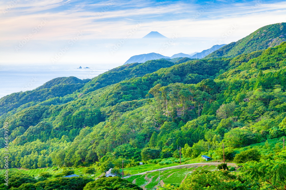 Obraz premium 初夏の富士山、静岡県松崎町石部にて