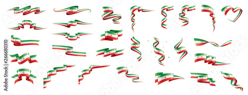 Iran flag, vector illustration on a white background