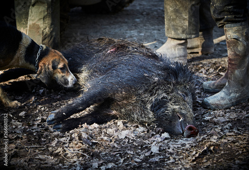 A LA CHASSE