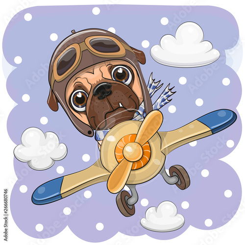 Cute Pug dog is flying on a plane