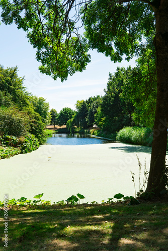 water landscape, park, Hoorn, The Netherlands