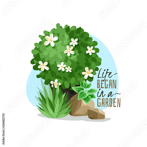 Garden plant simple illustration