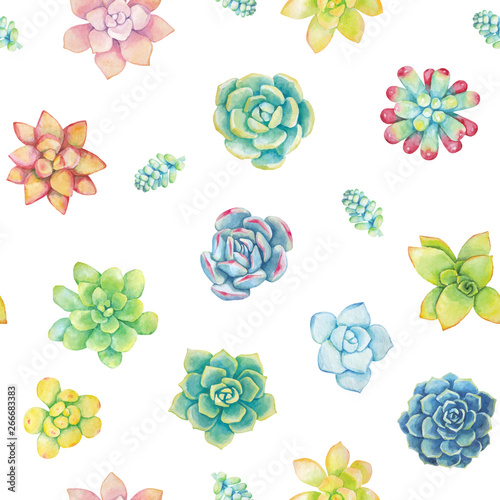 Vector seamless pattern of floral elements in a watercolor style. Succulents painted in watercolor.