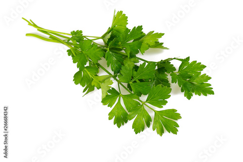 bunch of parsley isolated on white