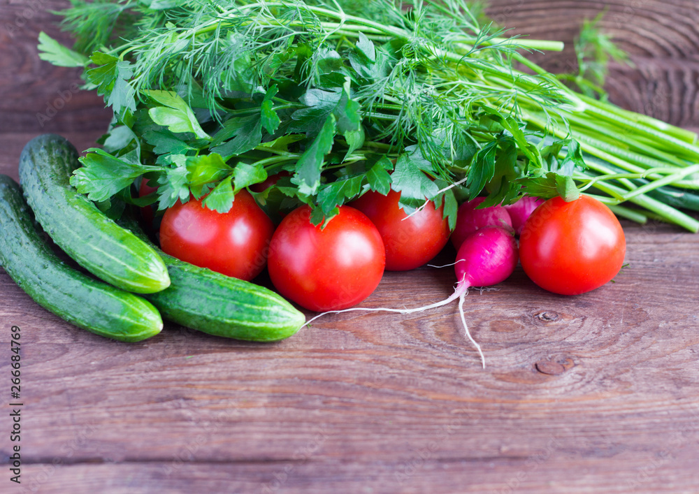 fresh cucumbers and tomatoes,radishes and greens on the table,ripe seasonal vegetables fresh cucumbers and tomatoes,radishes and greens on the table,ripe seasonal vegetables