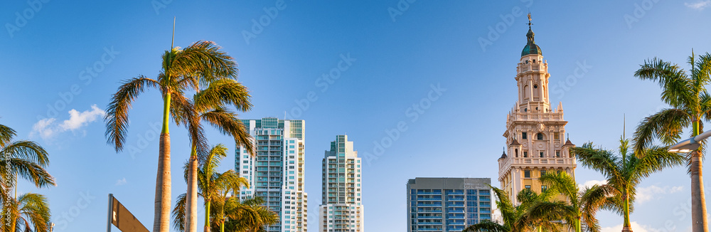 Naklejka premium Palmy i budynki w centrum Miami