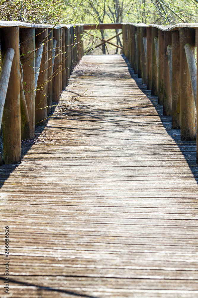wooden bridge for watchin for the birds on the swamp wooden bridge for watchin for the birds on the swamp