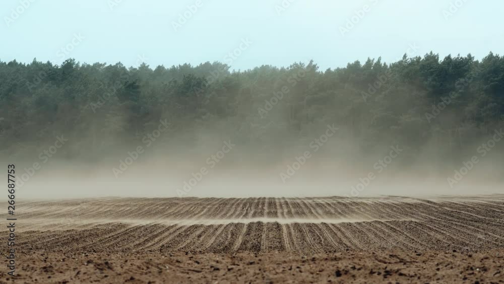 Dust clouds created by strong wind whirls causing top soil erosion and land degradation in northern Germany.