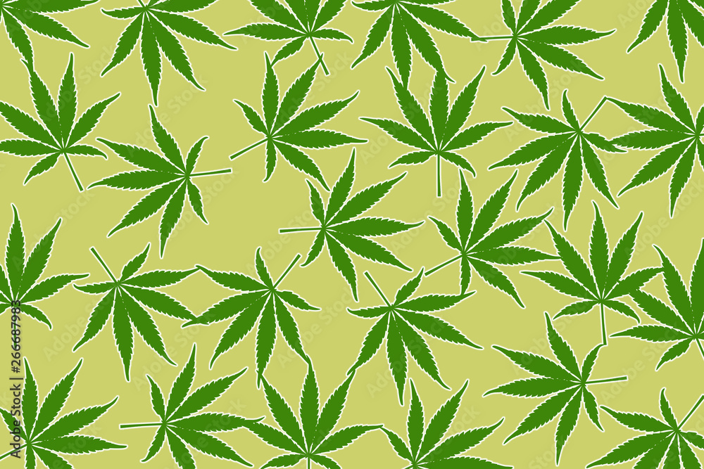 Obraz premium leafs of cannabis background,abstract background