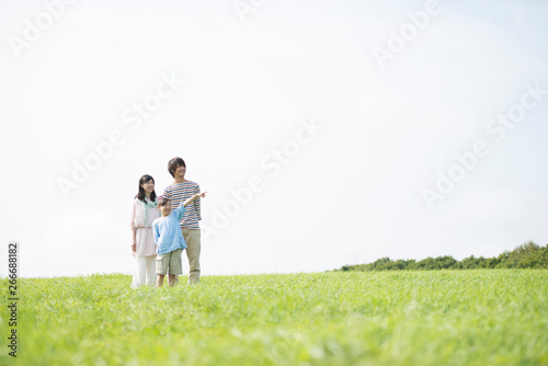 草原で遠くを眺める家族