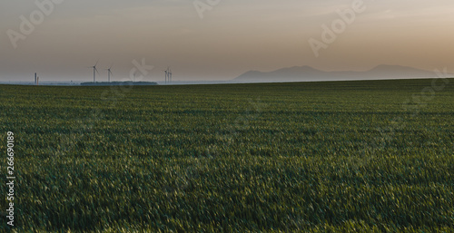 Green farm field at sunrise with the windmills and blue hills in the distance
