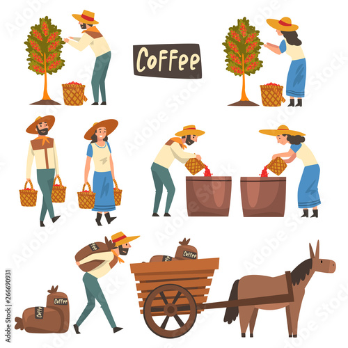 Farmers Gathering, Sorting and Packaging Coffee Beans Set, Coffee Industry Production Stages Vector Illustration