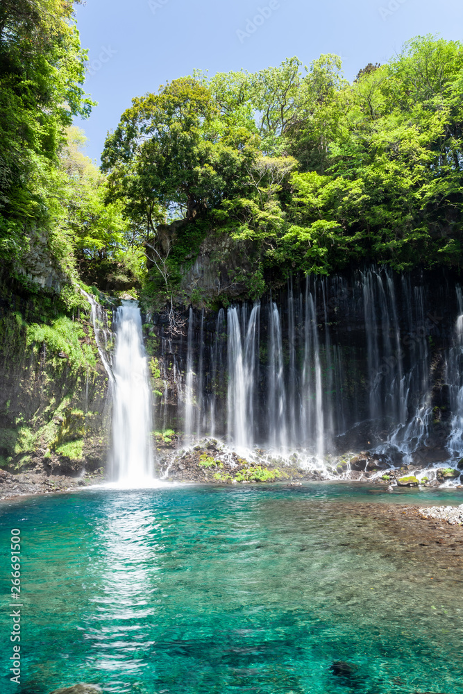 静岡県　白糸の滝