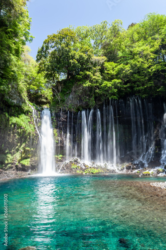 静岡県 白糸の滝