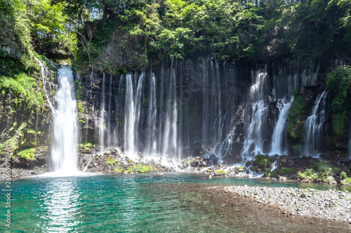 Fototapeta Naklejka Na Ścianę i Meble -  静岡県　白糸の滝