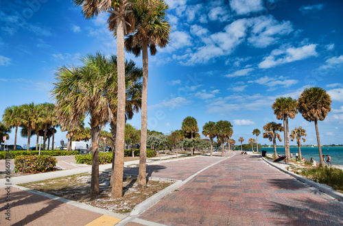 Palms and park along Rickenbacker Causeway, Maimi