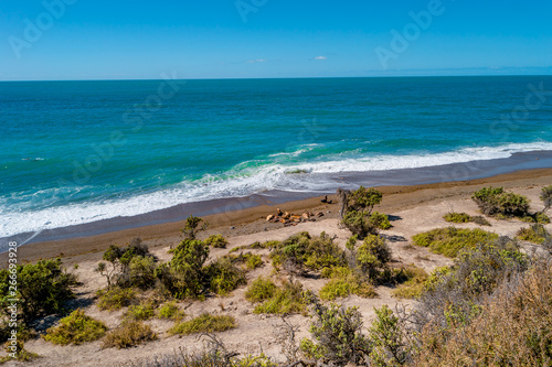 Beautiful Atlantic Ocean coastline in peninsula Valdes Patagonia with colony sealions  Argentina