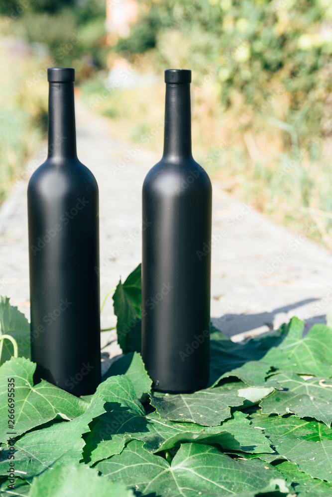 two bottles stand on green vine leaves on a rural road, private vineyards. natural drink. wine