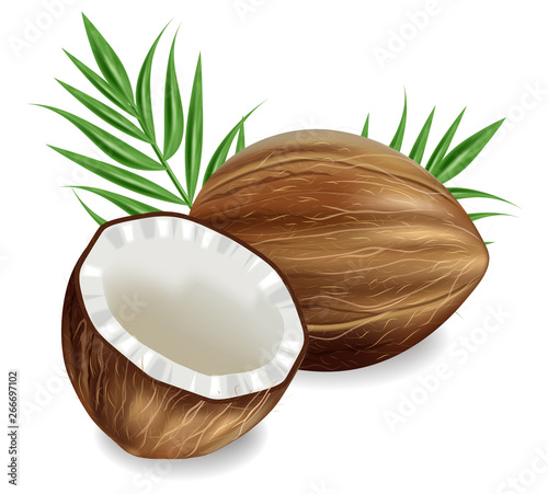 Coconuts Vector realistic. template tropic exotic background. detailed 3d ill...