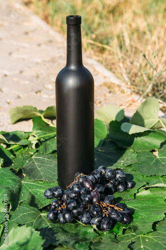 bottle of wine stands against the green leaves of the vineyard. vine. natural drink, private vineyards. natural drink, private vineyards grapes are nearby standing on the road in the countryside