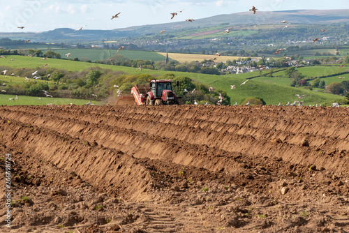 Modbury, South Devon, England, UK. May 2019. Destoner machine behind a tractor preparing a field for planting potatoes near Modbury, Devon, The background high ground is Dartmoor National Park.