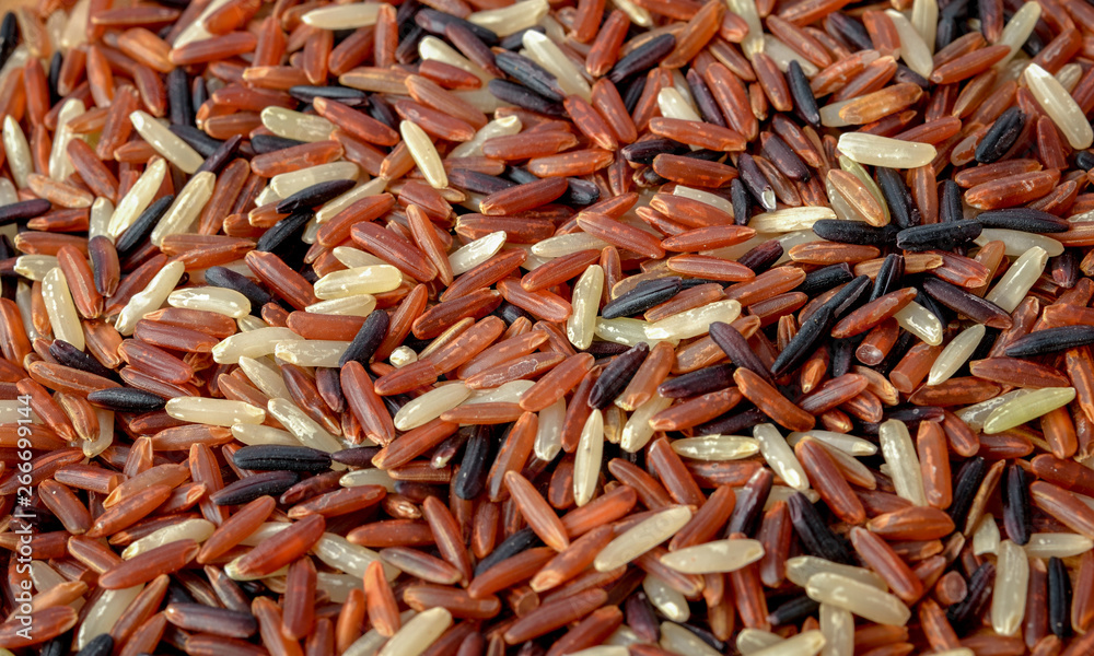 Organic rice, Mixed rice and texture for background