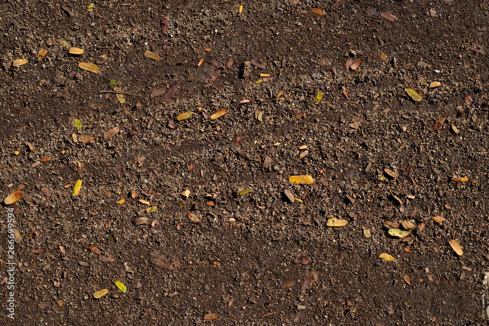 ground with autumn leaf texture, dirt ground ground with autumn leaf texture, dirt ground