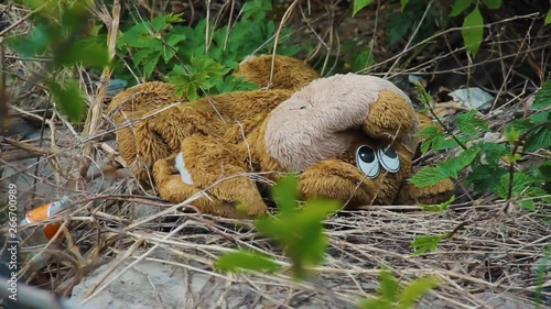 Thrown soft children's toy lies in a landfill. Green grass around an unnecessary large bear figurine. Teddy bear abandoned. View of head with eyes. Depression concept. Misfortune. Junk gift problem