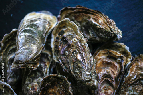 Fresh closed oysters on black background top view