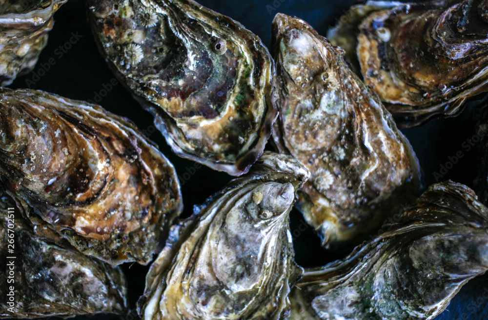 Fresh closed oysters from Cancale on black background top view Fresh closed oysters from Cancale on black background top view