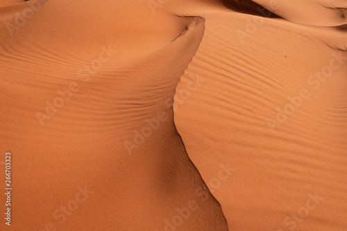 Fototapeta Naklejka Na Ścianę i Meble -  Sand dune and ripples