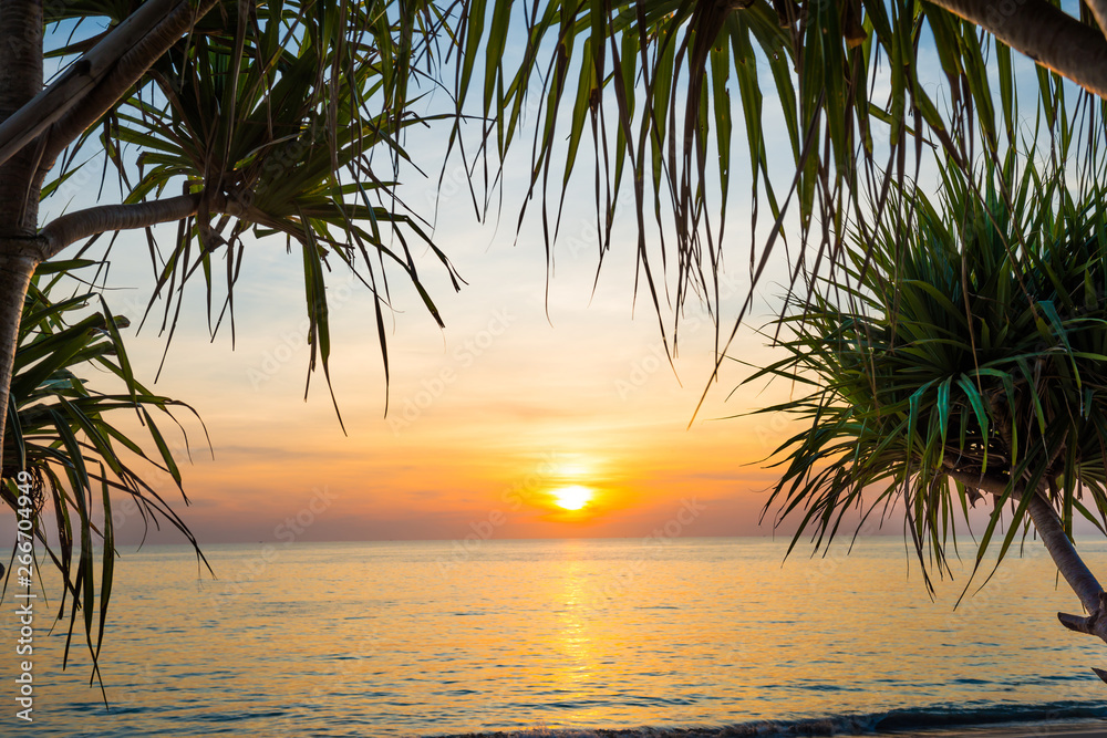 Fototapeta premium Sunset at tropical beach with palms